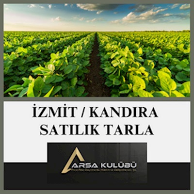İzmit Kandıra Satılık Tarla